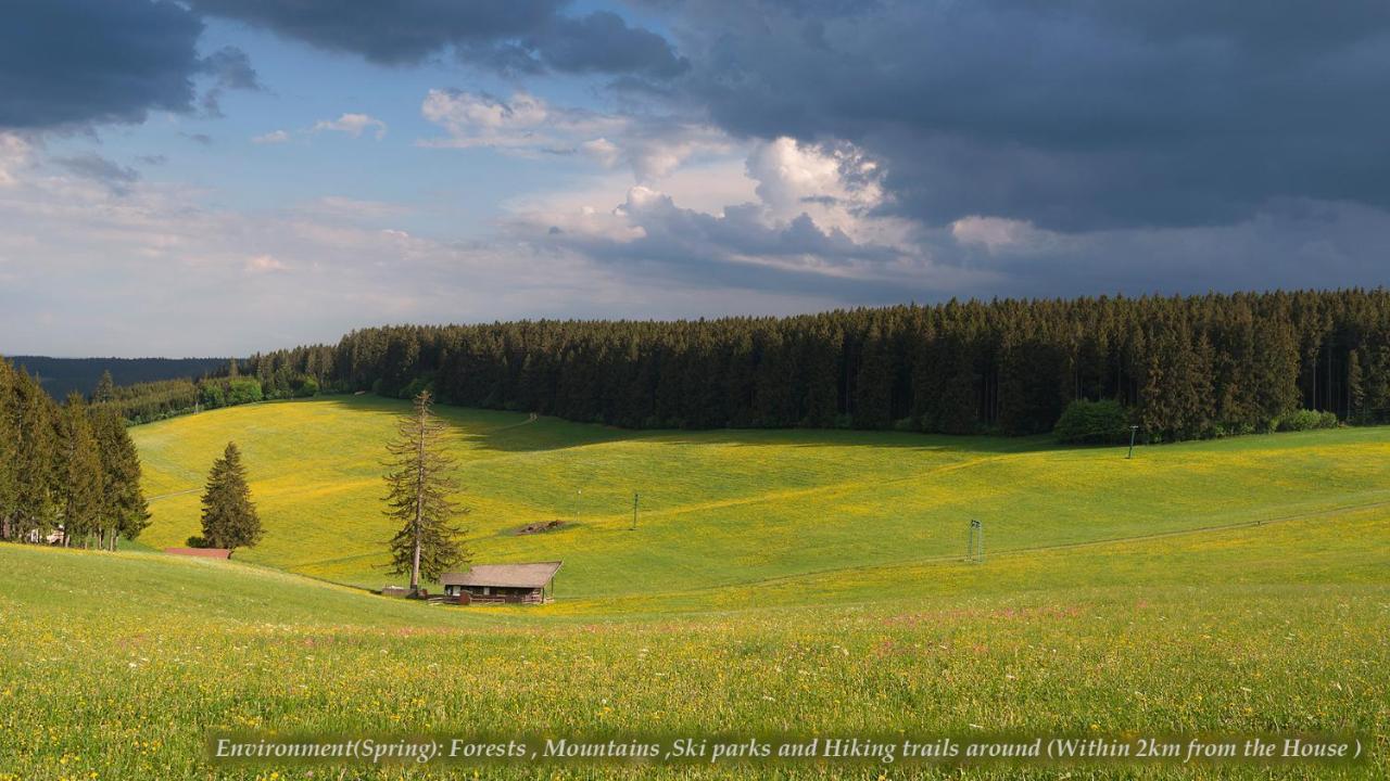 UnterkirnachEntire House In Schwarzwald With Mountain View, Private Gym,Sauna And Garden别墅 外观 照片